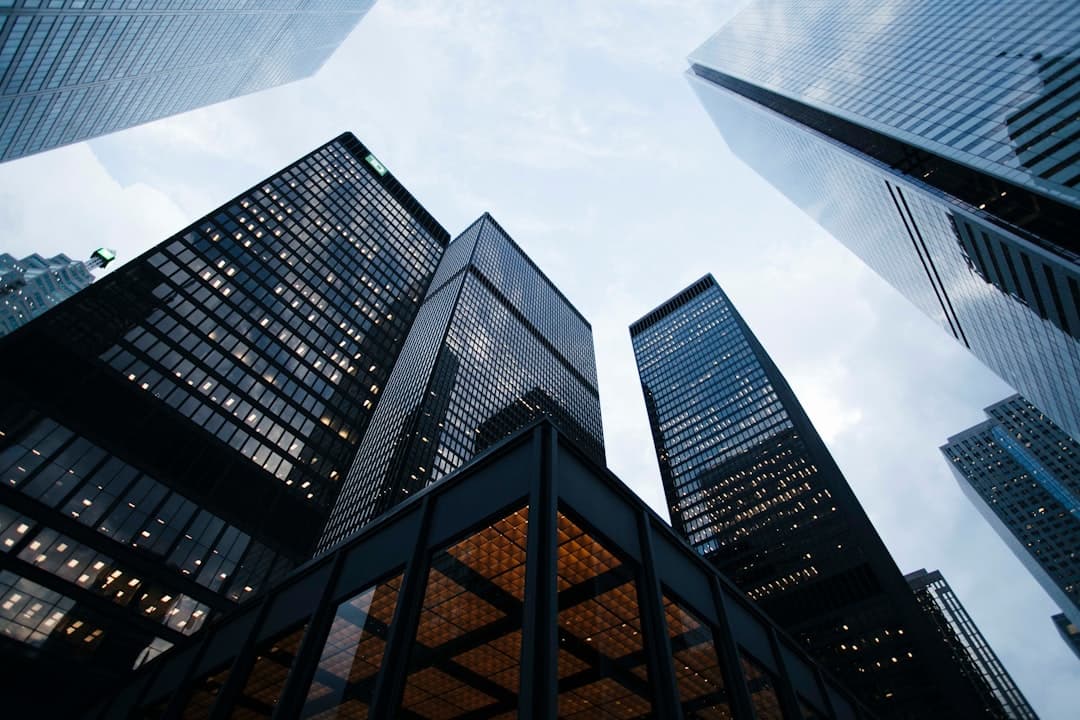 Finanzanalyse: Risiken bei Kunden minimieren?